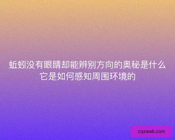 蚯蚓没有眼睛却能辨别方向的奥秘是什么它是如何感知周围环境的