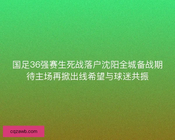 国足36强赛生死战落户沈阳全城备战期待主场再掀出线希望与球迷共振