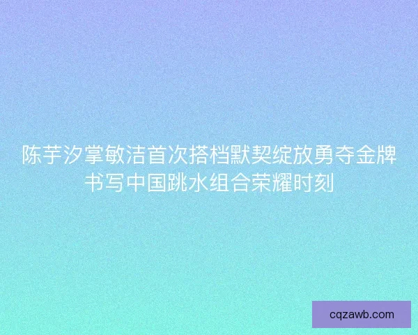 陈芋汐掌敏洁首次搭档默契绽放勇夺金牌书写中国跳水组合荣耀时刻
